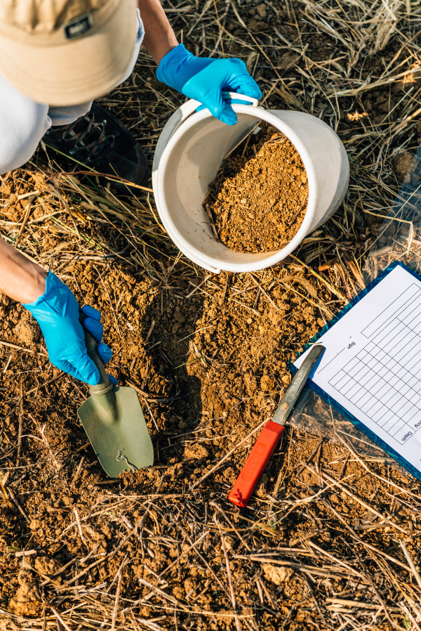 Let’s Get Dirty: The Fundamentals of Soil Ecology
